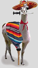 Tony-the-Wonder-Llama